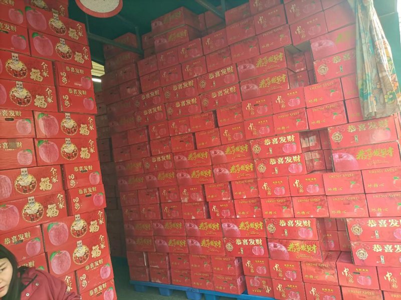 工程机械租赁市场的风云变幻